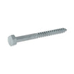 Hex Coach Screws