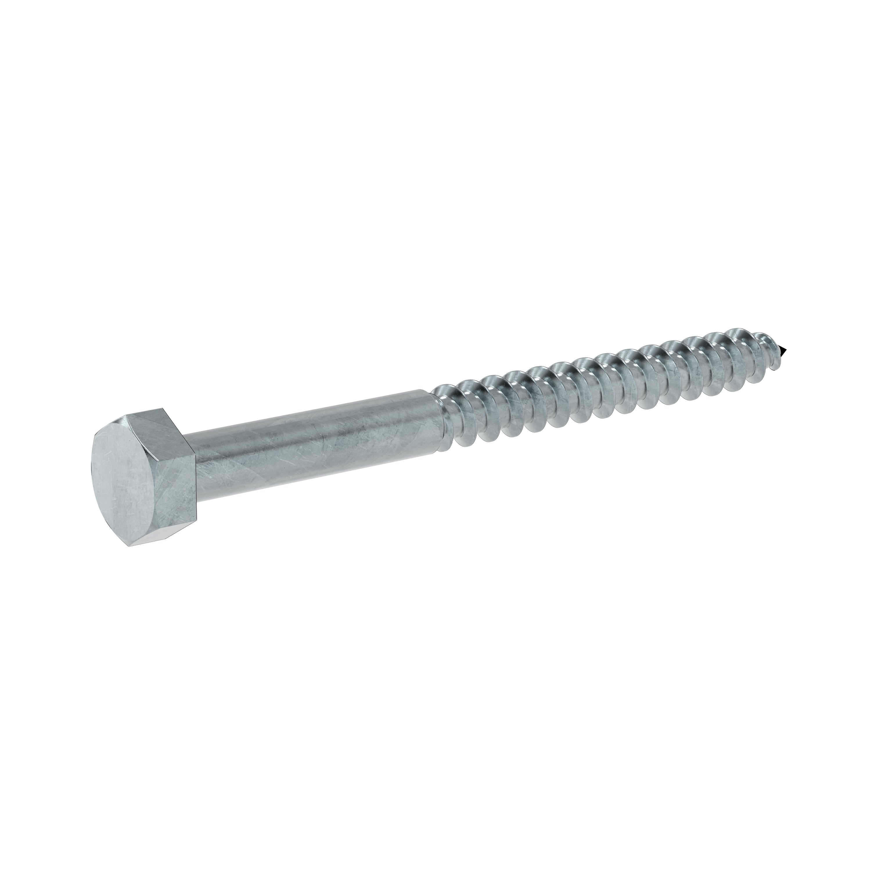 Hex Coach Screw (316SS)  - M12