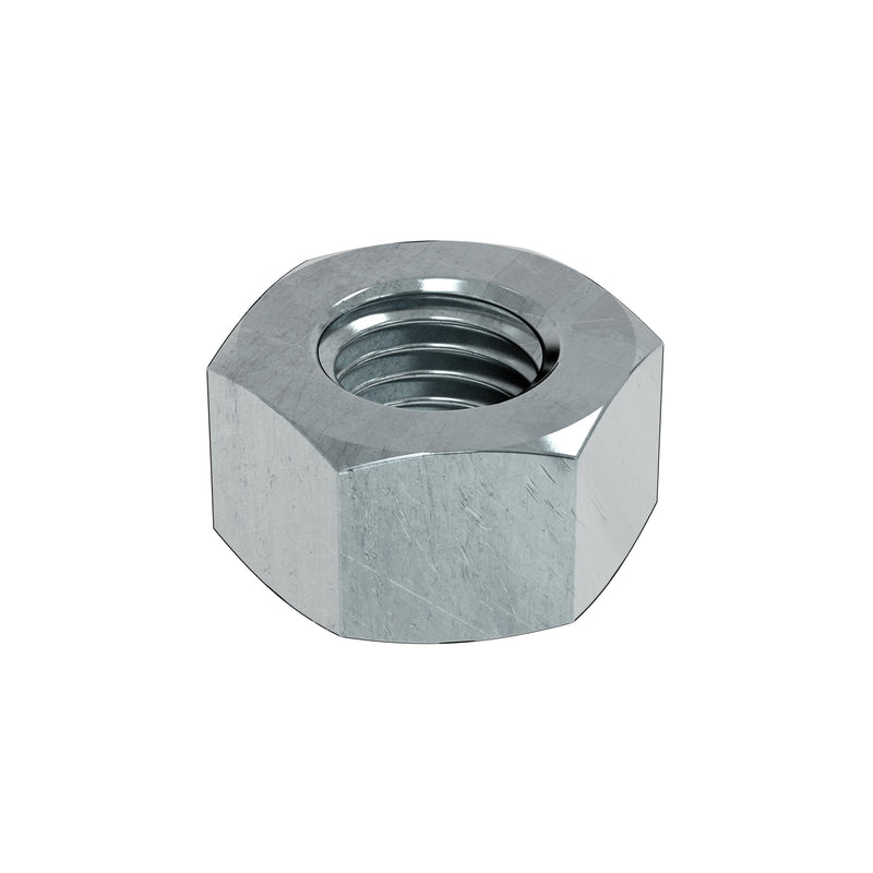 Hex Nut (316SS)