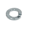 Spring Washer (316SS)