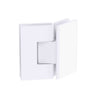 Shower Hinge Glass to Glass 135 Deg