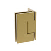 Shower Hinge Wall to Glass 50mm Offset Backplate