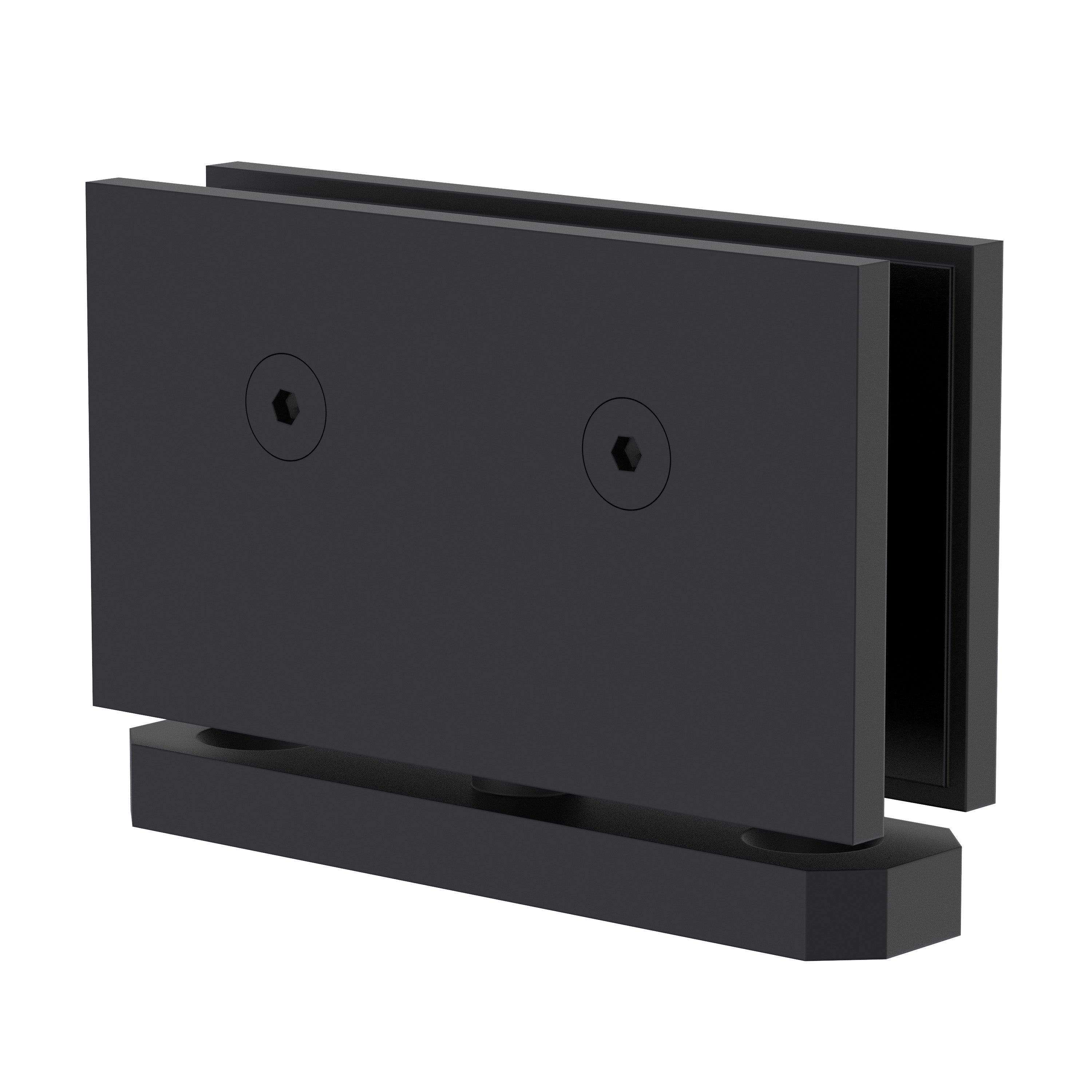Shower Pivot Hinge
