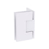 Shower Hinge Wall to Glass 90 Deg Offset Backplate