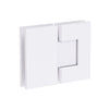 Shower Hinge Glass to Glass 180 Deg